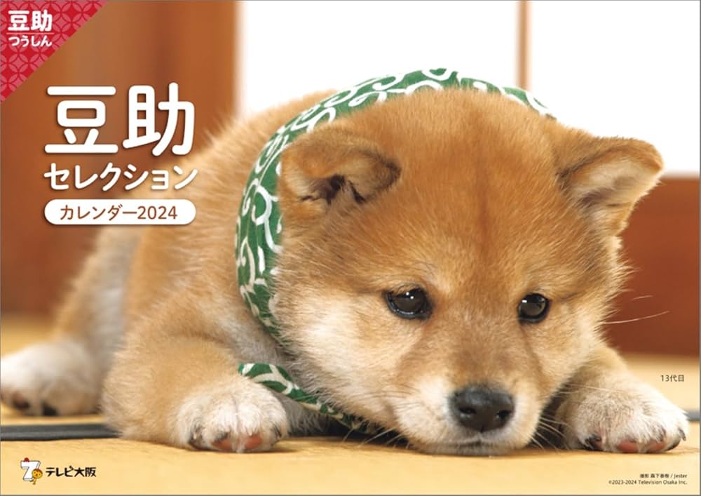 【6月】豆柴助 Amazon | ハゴロモ 歴代豆助セレクション 2024年 カレンダー 壁掛け